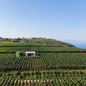 tenuta-di-castellaro.sicilyhotelsitaly.net/